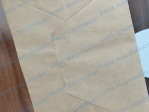 Paper Handle Bag